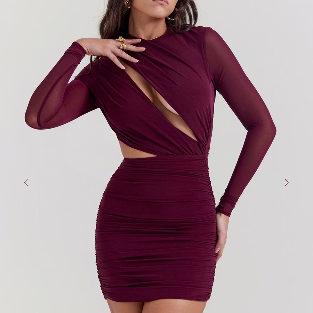 Elegant Burgundy Long Sleeve Dress